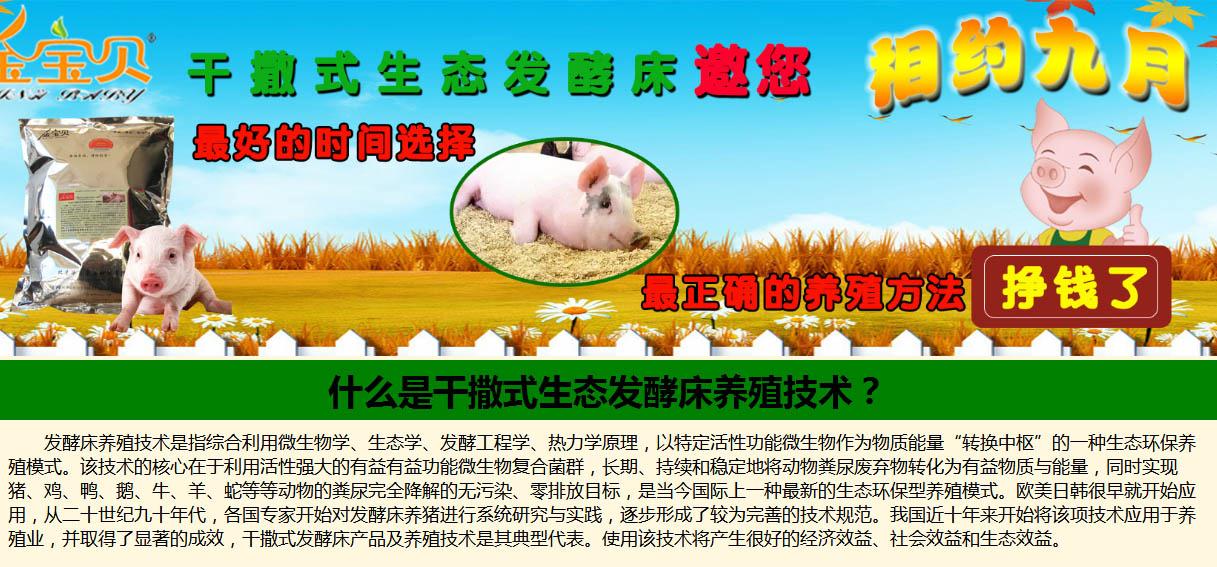干撒式生态发酵床