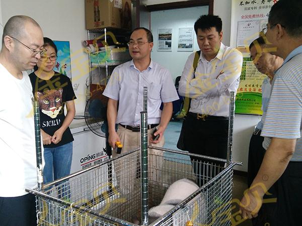 发酵床养殖