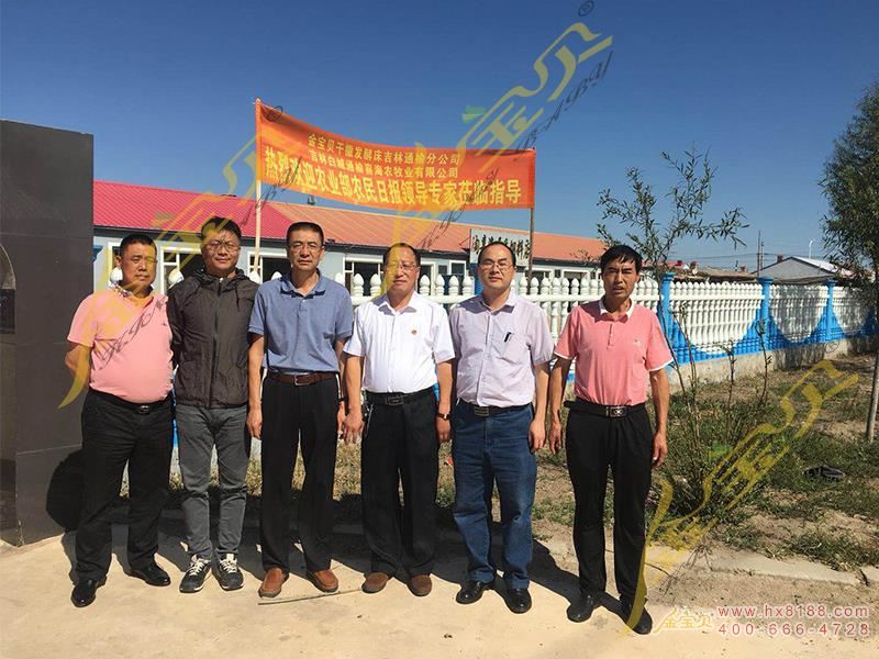 发酵床养殖考察