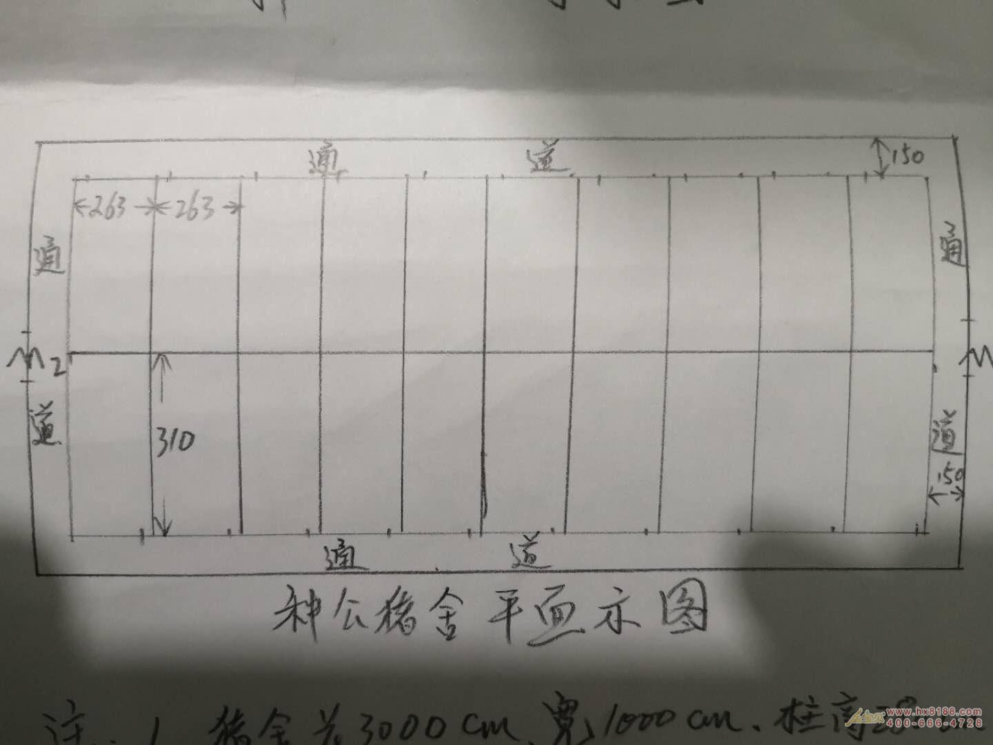 种公猪舍设计方案