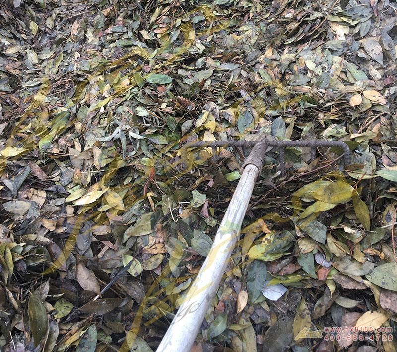 枯枝落叶有机肥发酵剂