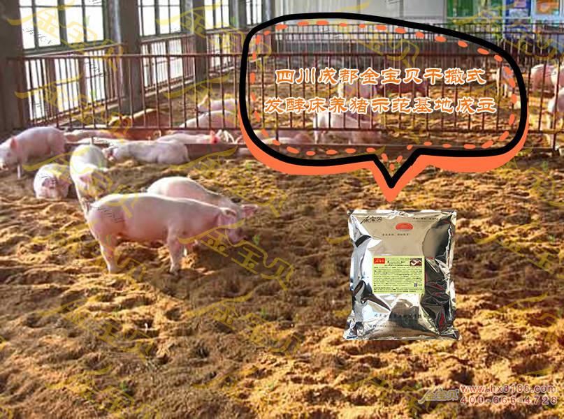 四川成都发酵床养猪示范基地
